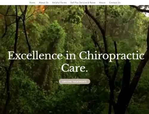 Chiropractor Ormond Beach