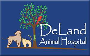 Deland animal Hospital